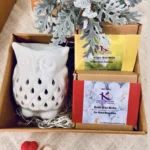 Gift box Owl ceramic T-light diffuser with soy wax melts_kanacreations