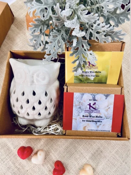 Gift box Owl ceramic T-light diffuser with soy wax melts_kanacreations
