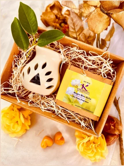 Matki Tlight Ceramic Diffuser with soy wax melts_kanacreations
