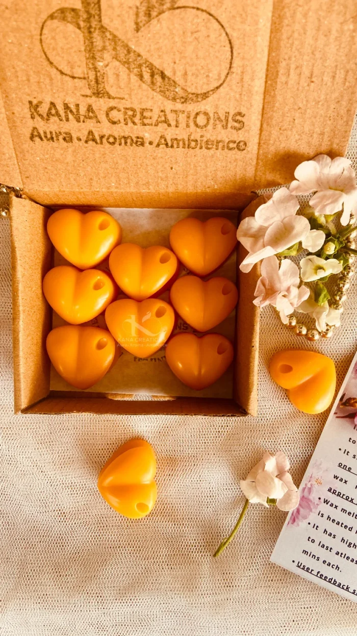 Palo santo soy wax melt_Kanacreations