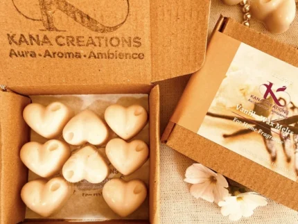 Vanilla soy wax melts_kanacreations
