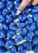ocean breeze Soy wax melts_kanacreations