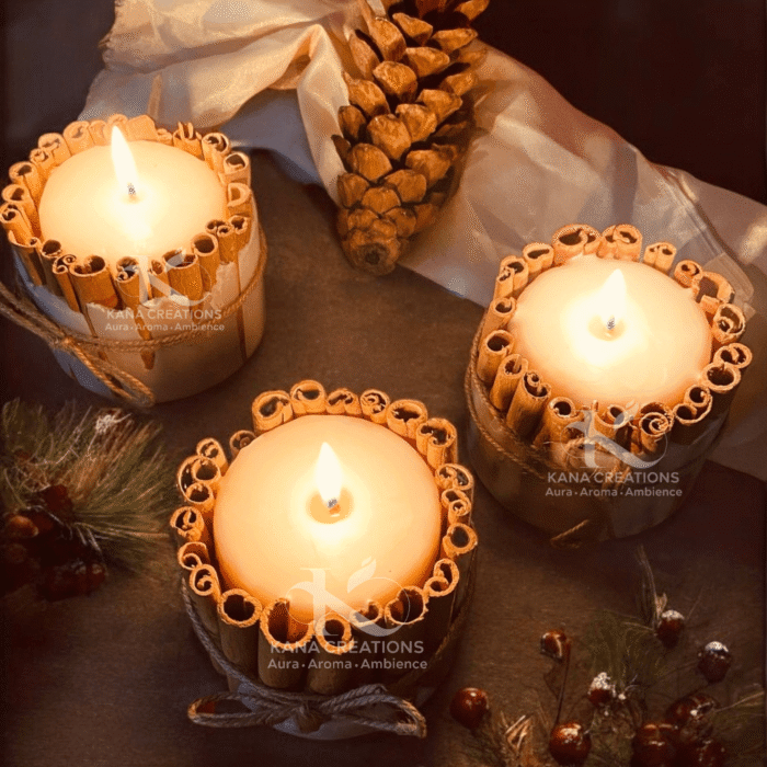 Cinnamon sticks_christmas soy candle_kanacreations