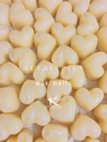 Eucalyptus soy wax melts_kanacreations