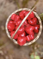 Rose soy wax melt_kanacreations