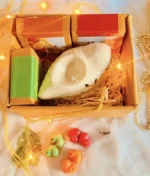 Shankh Electric Ceramic Diffuser with soy wax melts_kanacreations