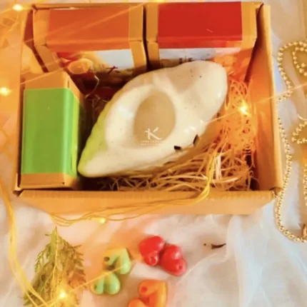 Shankh Electric Ceramic Diffuser with soy wax melts_kanacreations