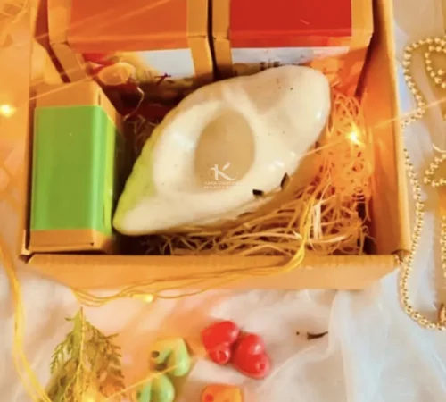 Shankh Electric Ceramic Diffuser with soy wax melts_kanacreations