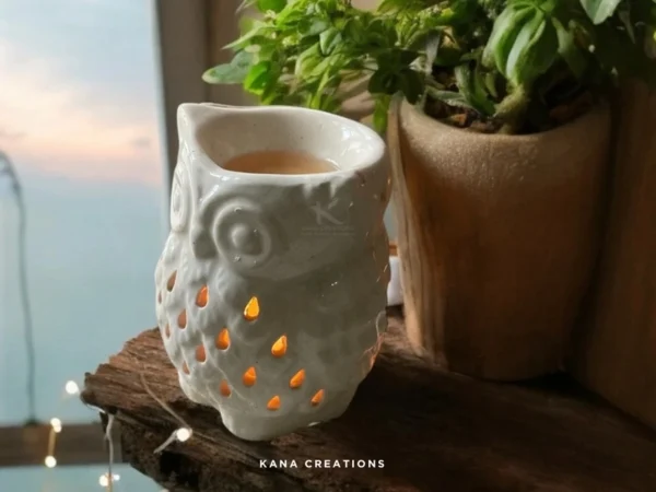 Luxury Soy Wax Melts for Home and office