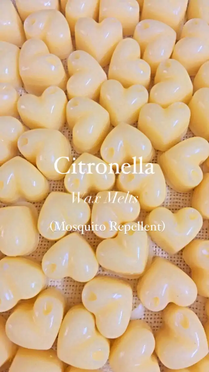 Citronella Mosquito repellent soy wax melts_Kanacreations