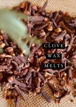 Clove Soy Wax Melts - Image 2