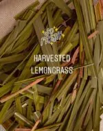 lemongrass epsom bath salts_kanacreations