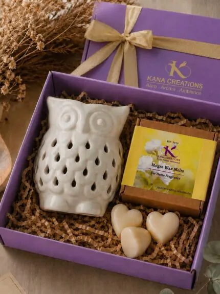 Owl tlight diffuser and soy wax melts | Kana Creations