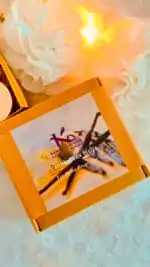 Vanilla soy wax melts_kanacreations