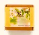 Citronella Mosquito repellent wax melts
