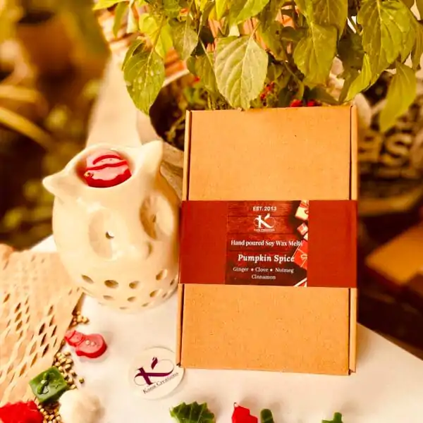 Christmas pumpkin spice soy wax melts_Kanacreations