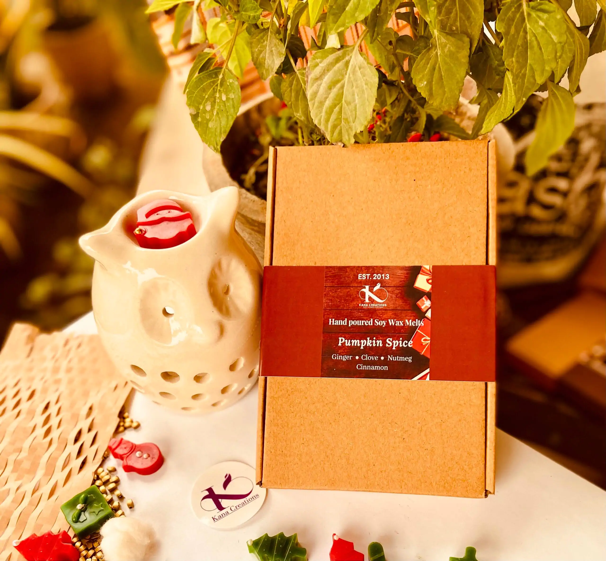 Christmas pumpkin spice soy wax melts_Kanacreations Christmas pumpkin spice soy wax melts_Kanacreations