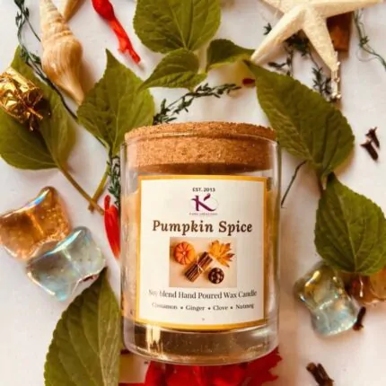 Autumn Christmas Pumpkin spice soy candle_Kanacreations