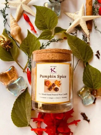 Autumn Christmas Pumpkin spice soy candle_Kanacreations