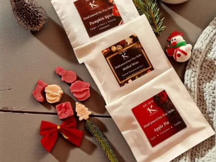 Winter christmas soy wax melts