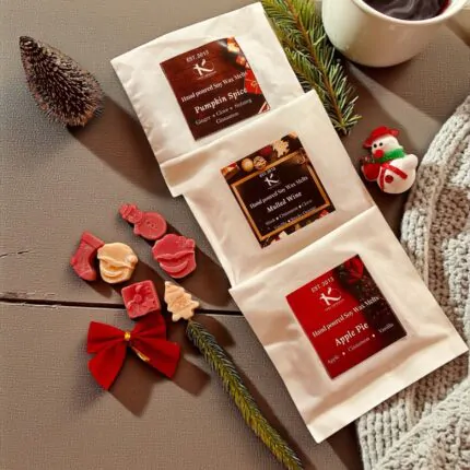 Winter christmas soy wax melts